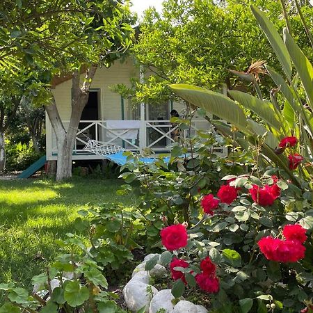 Bellerofon Beach Otel Cirali Exterior photo