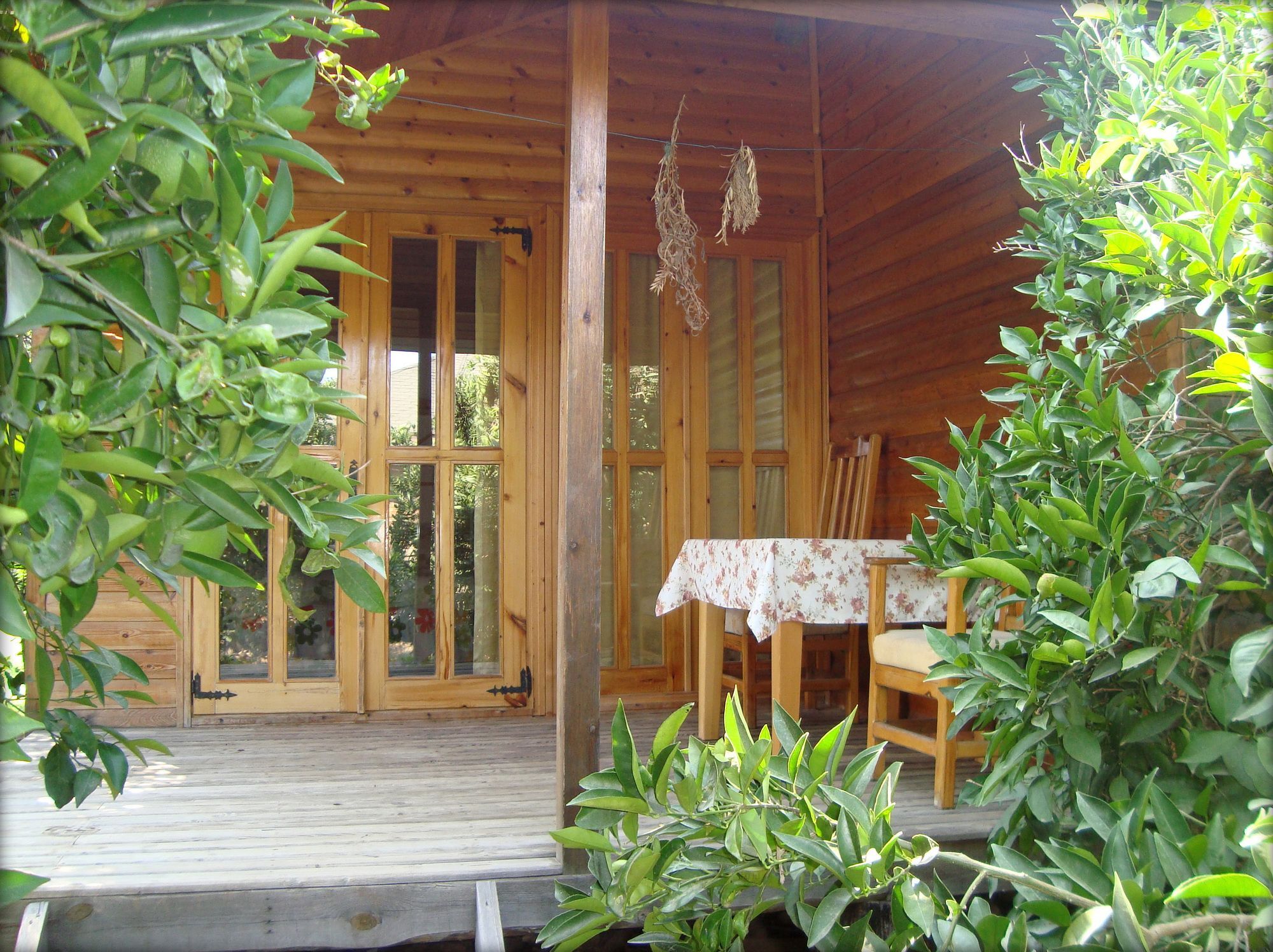 Bellerofon Beach Otel Cirali Exterior photo